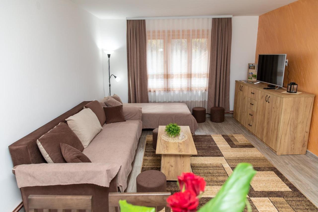 Kuca Stojanovica Topli Do Pirot Exteriér fotografie