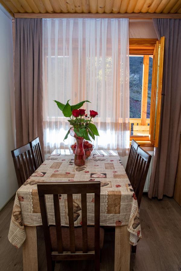 Kuca Stojanovica Topli Do Pirot Exteriér fotografie