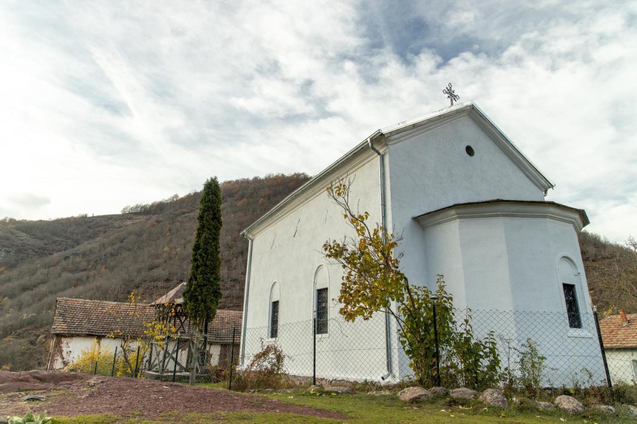 Kuca Stojanovica Topli Do Pirot Exteriér fotografie